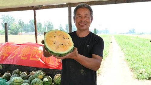 高阳最新吃瓜爆料